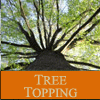 Tree Topping